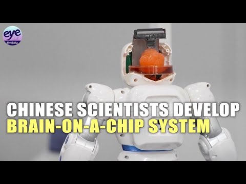 RoboCop in real life? Chinese scientists create robot with human brain cells