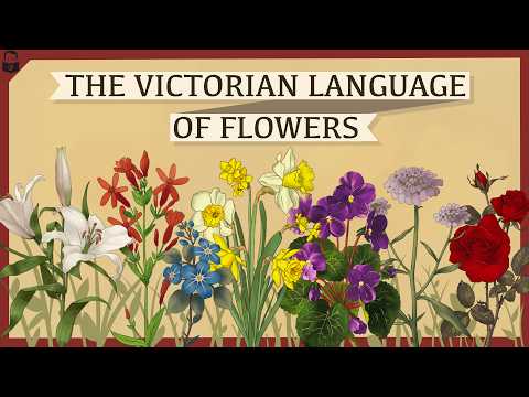 The Victorian Language of Flowers, Explained