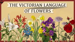 The Victorian Language of Flowers, Explained