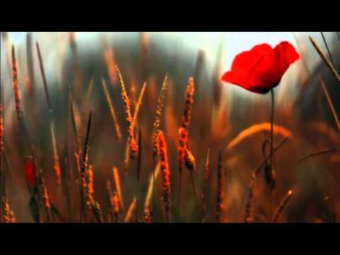 Renata Sabljak - Rijeka Mura tiho šumila