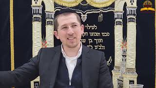 מיהו גדול הדור שחזר בגלגול של אוטיסט? - הרב יוסף שכטר