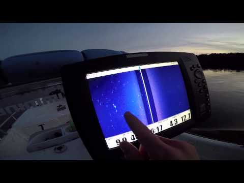 How To Find Fish With Side Imaging Sonar -  Big Cat Fever