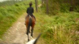 preview picture of video 'Rutas paseos y alquiler de caballos - Aventuras a caballo'
