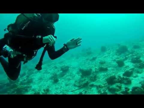 Scuba Diver Girls Shore Dive in Bonaire!!!