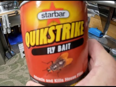 Starbar QUICKSTRIKE Fly Bait Test