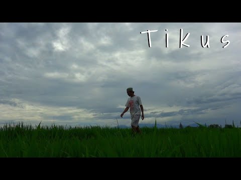 film-pendek-lucu-tikus-drama-komedi-jawa-lucu