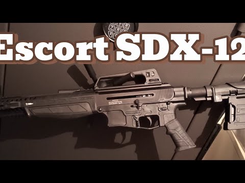 Hatsan Escort SD 12 Gauge Shotgun Review 