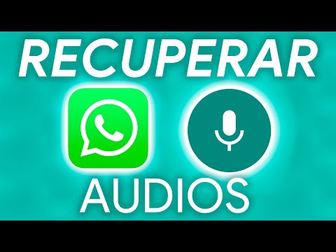 Cómo RECUPERAR AUDIOS de WHATSAPP