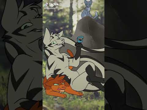 warriors cats tiktoks