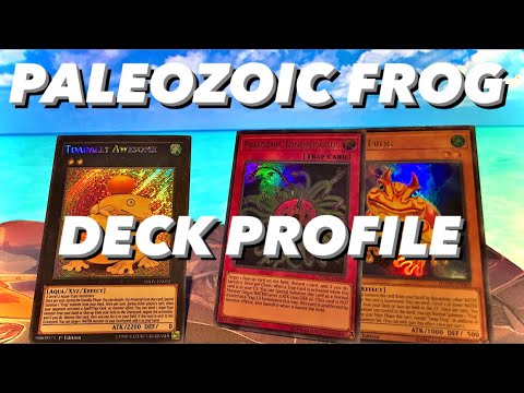Yu-Gi-Oh! IN DEPTH and BUDGET Paleozoic Deck Profile! February 2021!