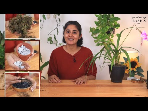 A Special Mix For Orchids Good Growth? | Garden Up Basics Ep.23