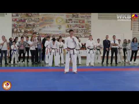 Saifa - Simion Robert