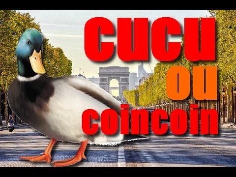 FREKO et CYANure : cucu ou coincoin ( ATK 1999 )