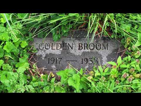 Chasing Man o' War's Ghost