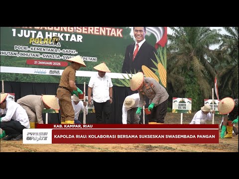 PRESISI UPDATE : KAPOLDA RIAU DAN PJ SEKDA RIAU TANAM JAGUNG DI KAMPAR 23/01/25 09.30