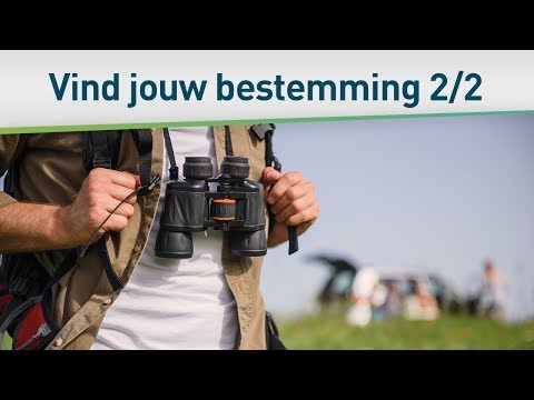 Het streven naar onze bestemming 2/2 – Bayless Conley