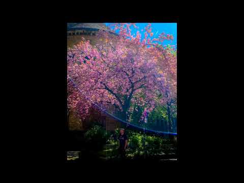 [Free] Dondon x Edo Saiya Type Beat - Heimfahrt | (prod. Deymx) 2021