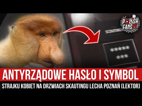 Antyrządowe hasło i symbol strajku kobiet na drzwiach skautingu Lecha [LEKTOR] (23.03.2021 r.)
