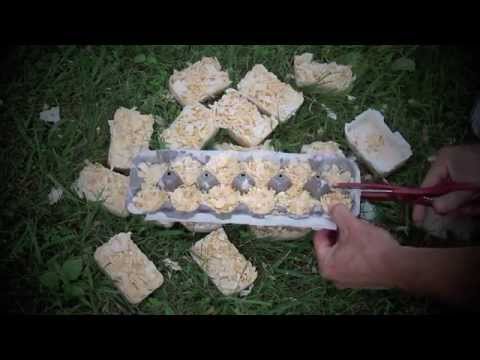 download lagu mp3 mp4 Diy Firelighters, download lagu Diy Firelighters gratis, unduh video klip Diy Firelighters