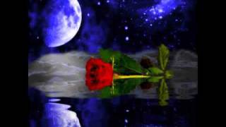 Frank Ferrari - Moonlight and roses