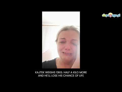 YouTube video preview image