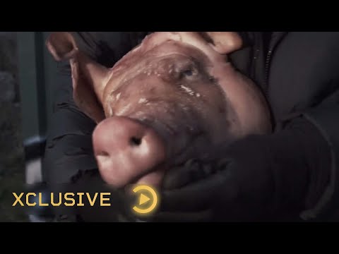 (NR) Lucii - Piggy Bank (Music Video) | Pressplay