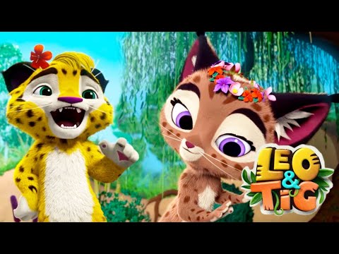 Leo and Tig - Bad Luck 💚 Super Toons TV - Best Cartoons