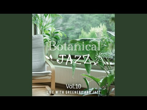 ドワーフローズ 'サンチャイルド' 植物