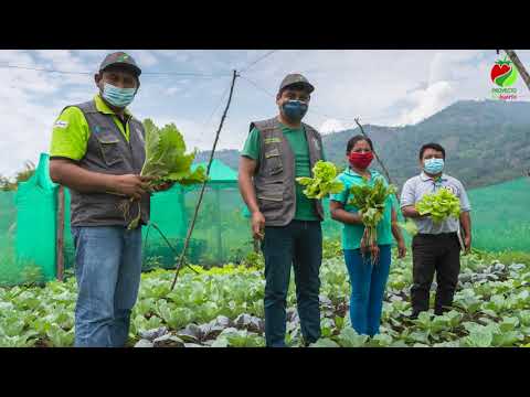 Proyecto Biohuerto Familiar - Villa Kintiarina, video de YouTube