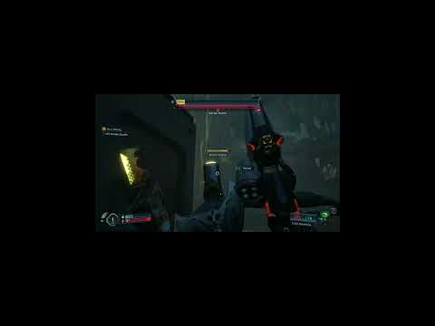 My first look at borderlands 4