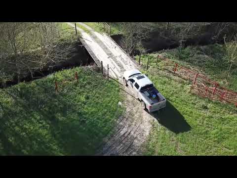 Archive 39 Video thumbnail