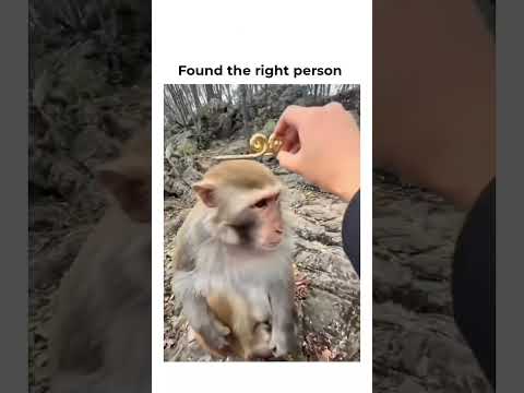 👸🏻 Found the right person