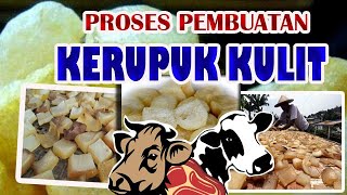 Download lagu Proses Pembuatan Kerupuk Kulit Kerbau & Sapi ini masih MANUAL !!! mp3 Download lagu Proses Pembuatan Kerupuk Kulit Kerbau & Sapi ini masih MANUAL !!! mp3