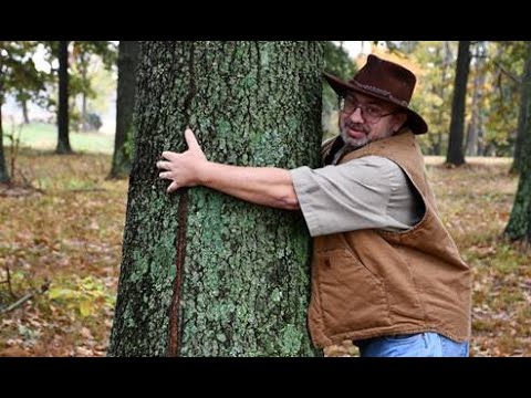 SFA Dendrology Lab - Week 10 (FORS 2319)