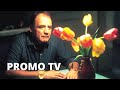 PANE E TULIPANI Teaser Trailer Italiano