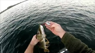 Les leurres pour pêcher le carnassier partie 3 : Les grandes cuillers