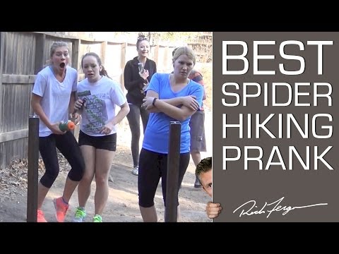 Best Tarantula Spider Prank EVER!