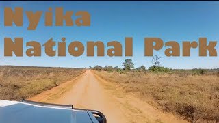 Nyika National Park - Malawi, Africa