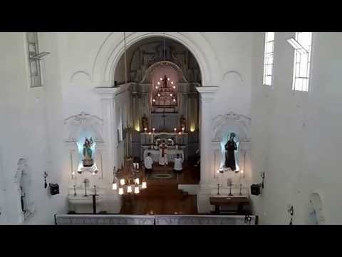 Agnus Dei (Pe. Jorge Braun, SVD)