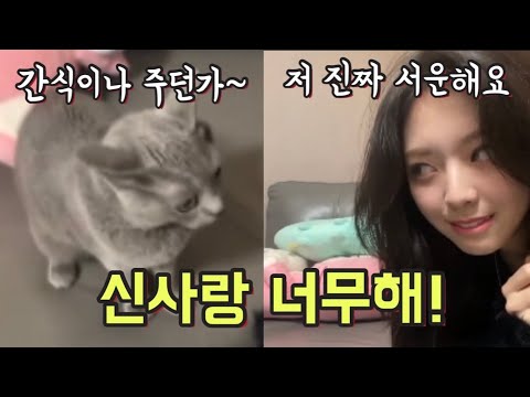 아이콘