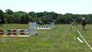 Blu Jay ENDCTA Stadium 06