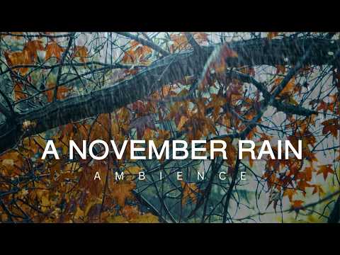 10 Hour  🍂🍁 Autumn Rain Ambience in November for Sleep  | Relaxation | Meditation 🍂🍁 Fall Abundance