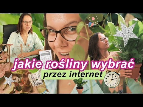 , title : '🌱Jakie rośliny wybrać przez Internet? 💻 Gdzie kupować rośliny domowe online? Przegląd sklepów 💸'