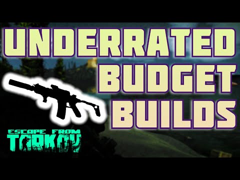 Budget Guns with Awesome Recoil in EFT