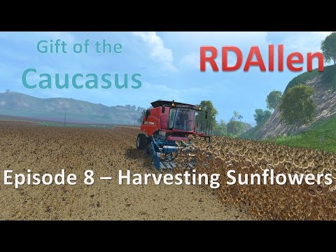 Farming Simulator 15 MP Gift of the Caucasus E8 - harvesting Sunflowers