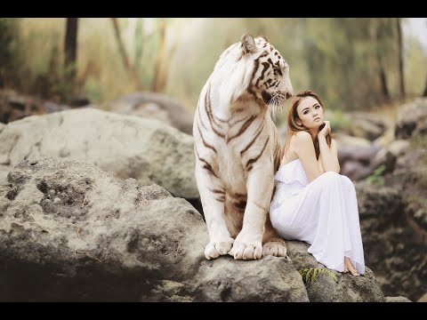 KONTOR TOP OF THE CLUB ( Party Mix ) Teil 3