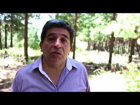 Proyecto Luz en Ranquil