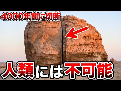 ブロニウスとダヌヴィウスの歯