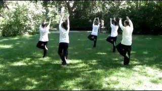Démonstration – Qi Gong des oies sauvages