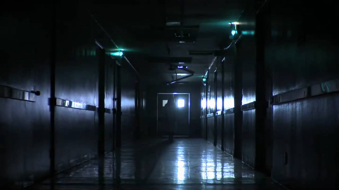 trailer THE FOREST (aka "Forest of the Living Dead" on Amazon Instant)